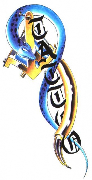 Card image cap